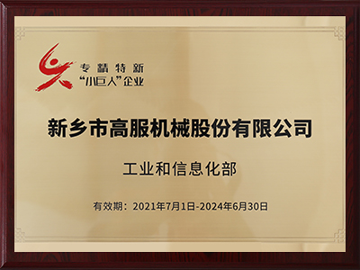 國家級專精特新小巨人企業(yè)